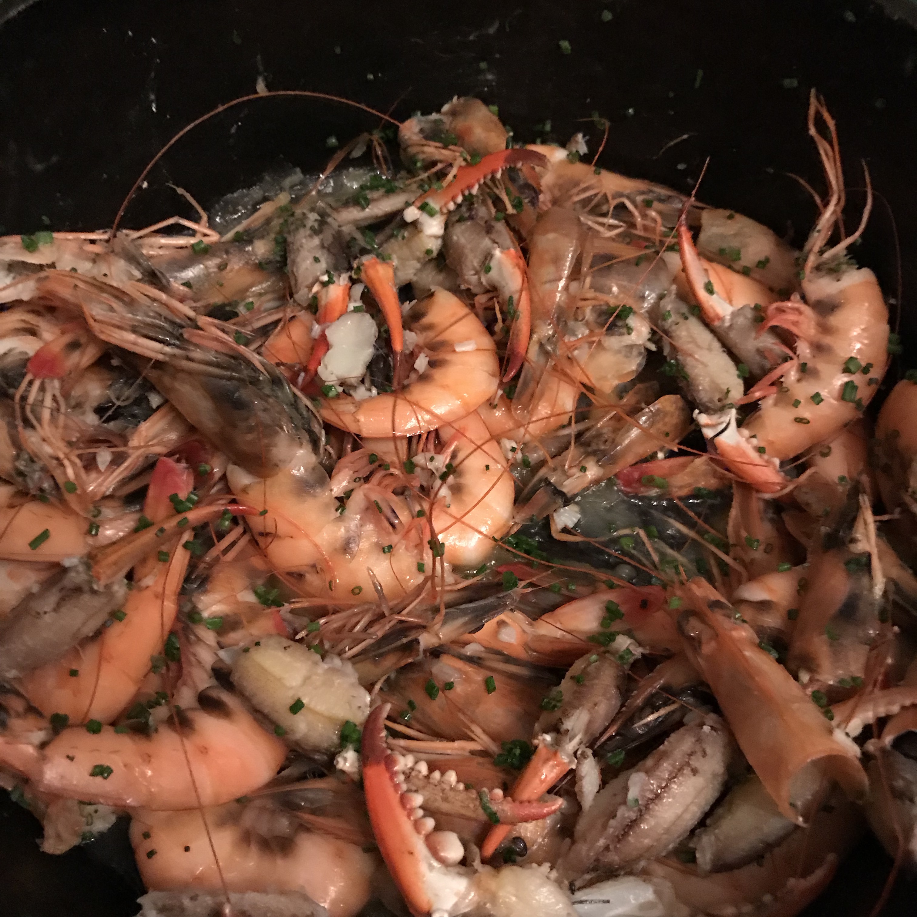 erjZS39vStuo+IBYCQZizQ